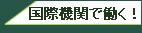 kokusaikikandehataraku!